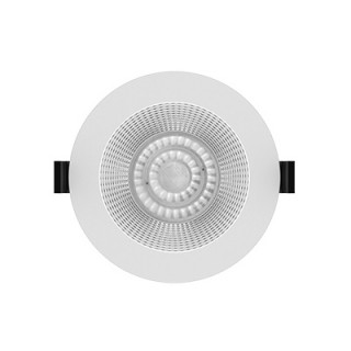 Downlight IP54 universal D67