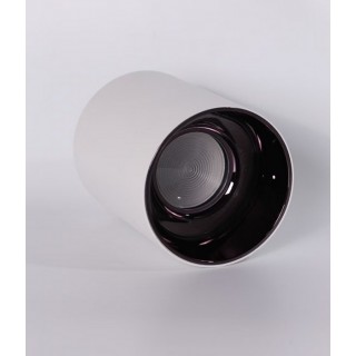 Surface Downlight IP65 eco